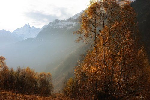 Утро.Осень.