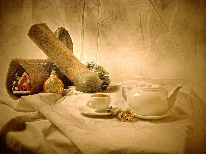 , Лариса Запатрина