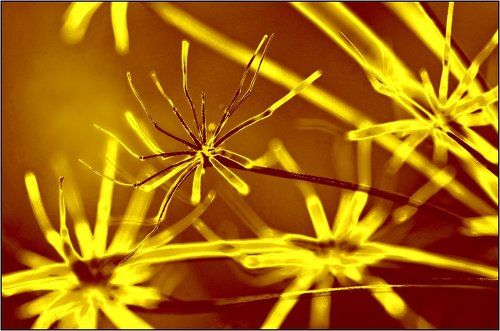 Призраки ушедшего лета