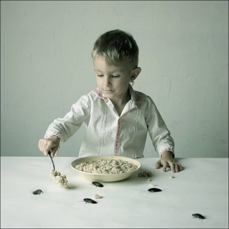 помошники с Мадагаскара... фото превью