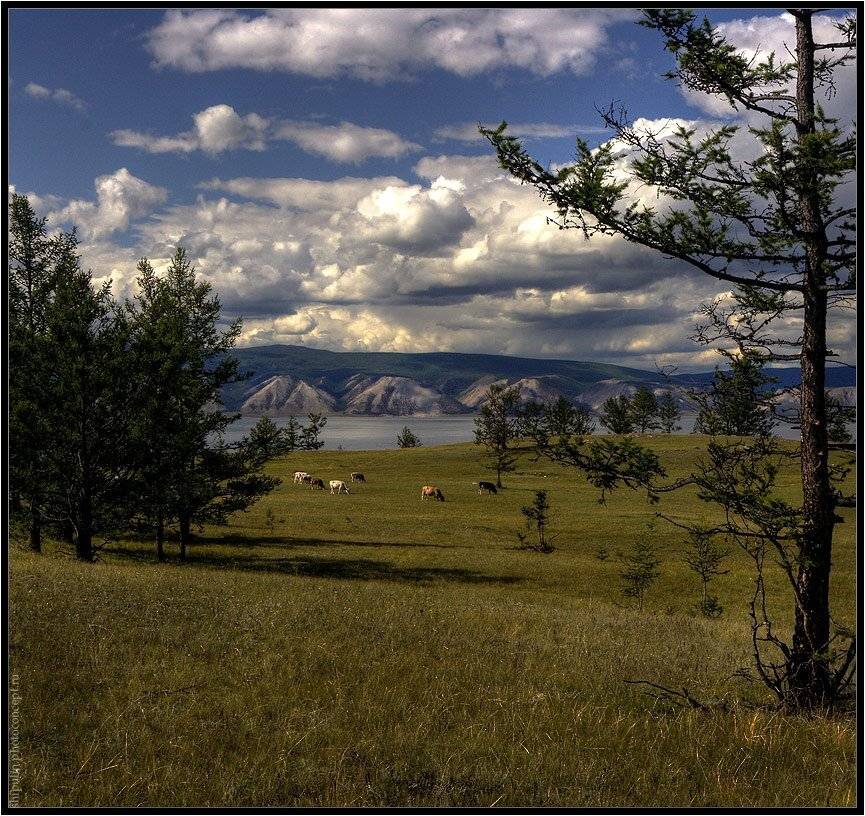 пейзаж,байкал,ольхон,владимир,шипулин,фотограф,томск,природа, Vladim_Shipulin