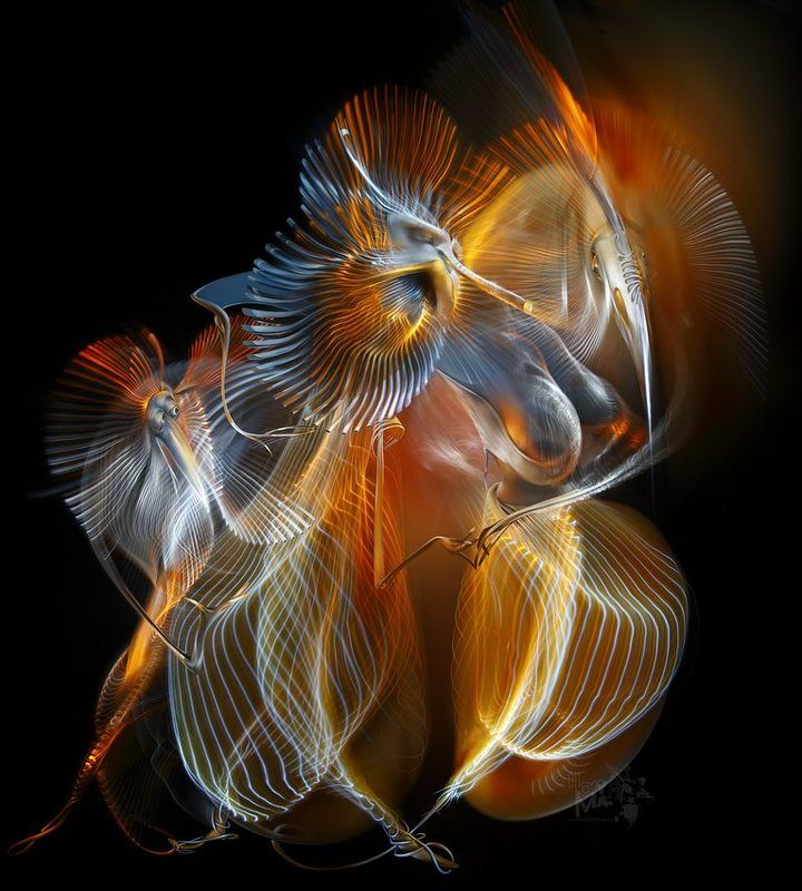 Пьянь... (Светографика - Витые сдвиги 2009 ) фото превью