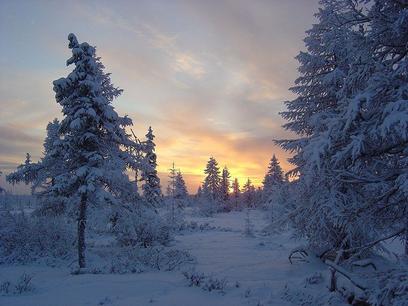 Пушистая зима фото превью