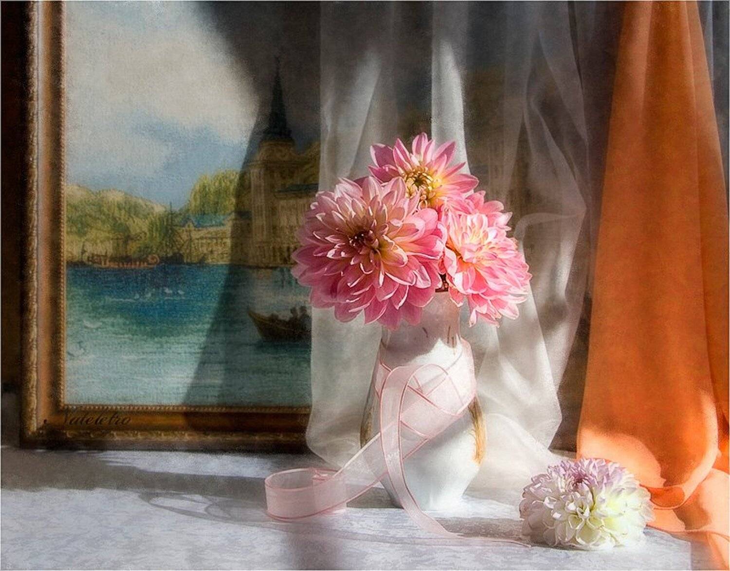 натюрморт, цветы, георгины, свет, Nateletro