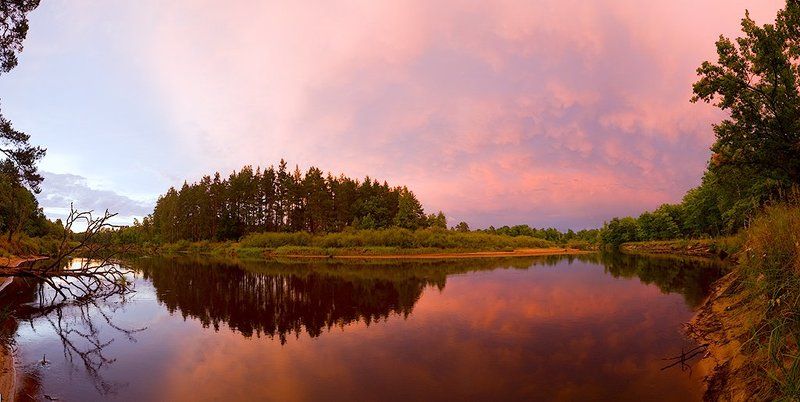окский заповедник, река пра, август, вечер, панорама Вечер августа фото превью