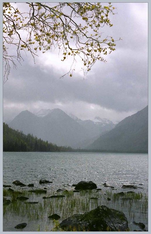 Мульта-1 фото превью