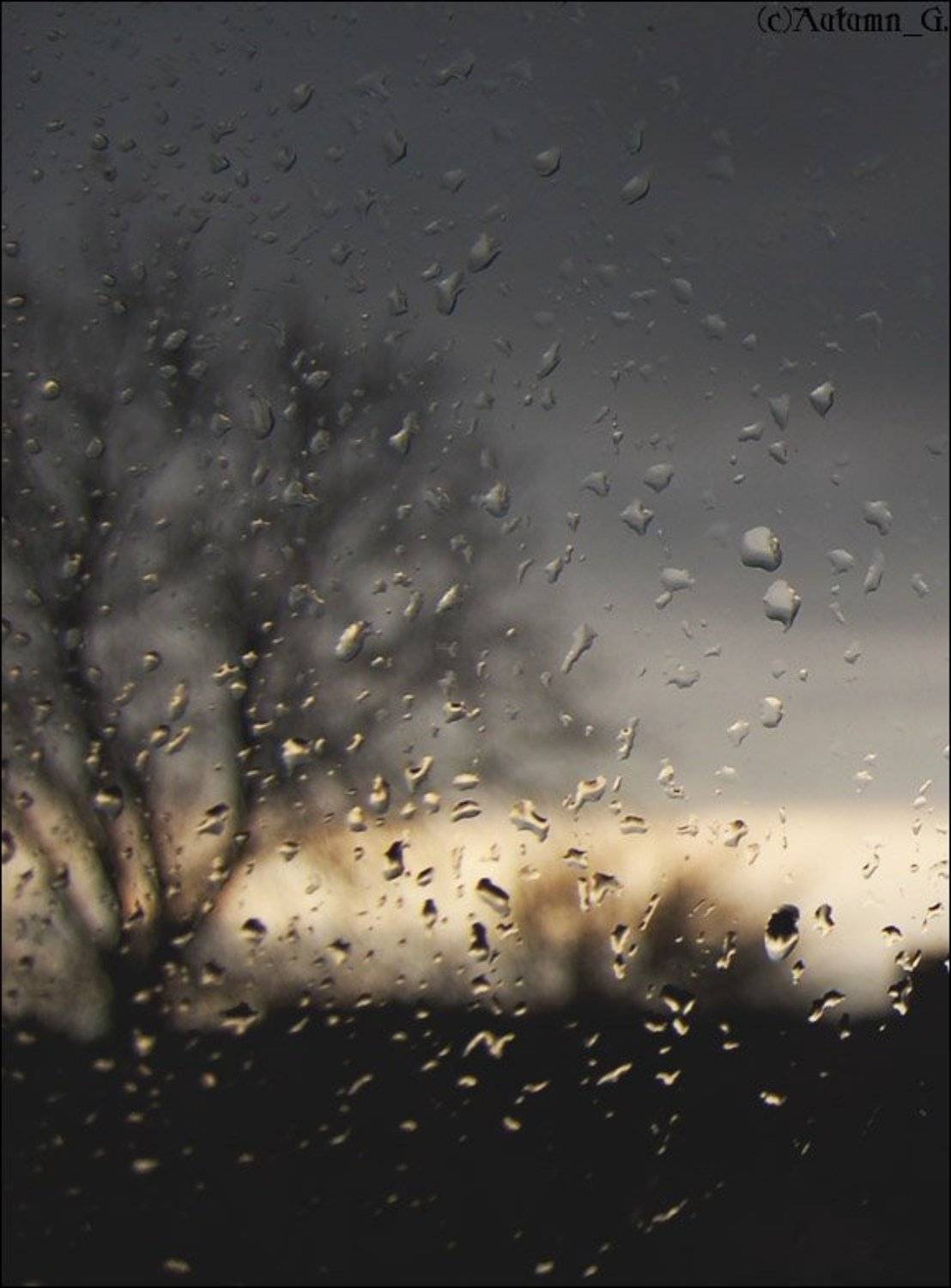 весна, таганрог, autumn