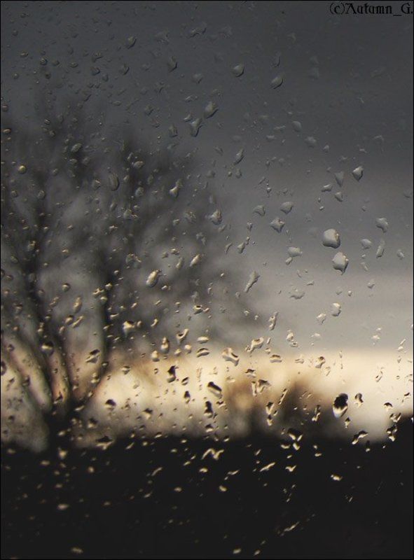 весна, таганрог когда весна оплакивала март... фото превью