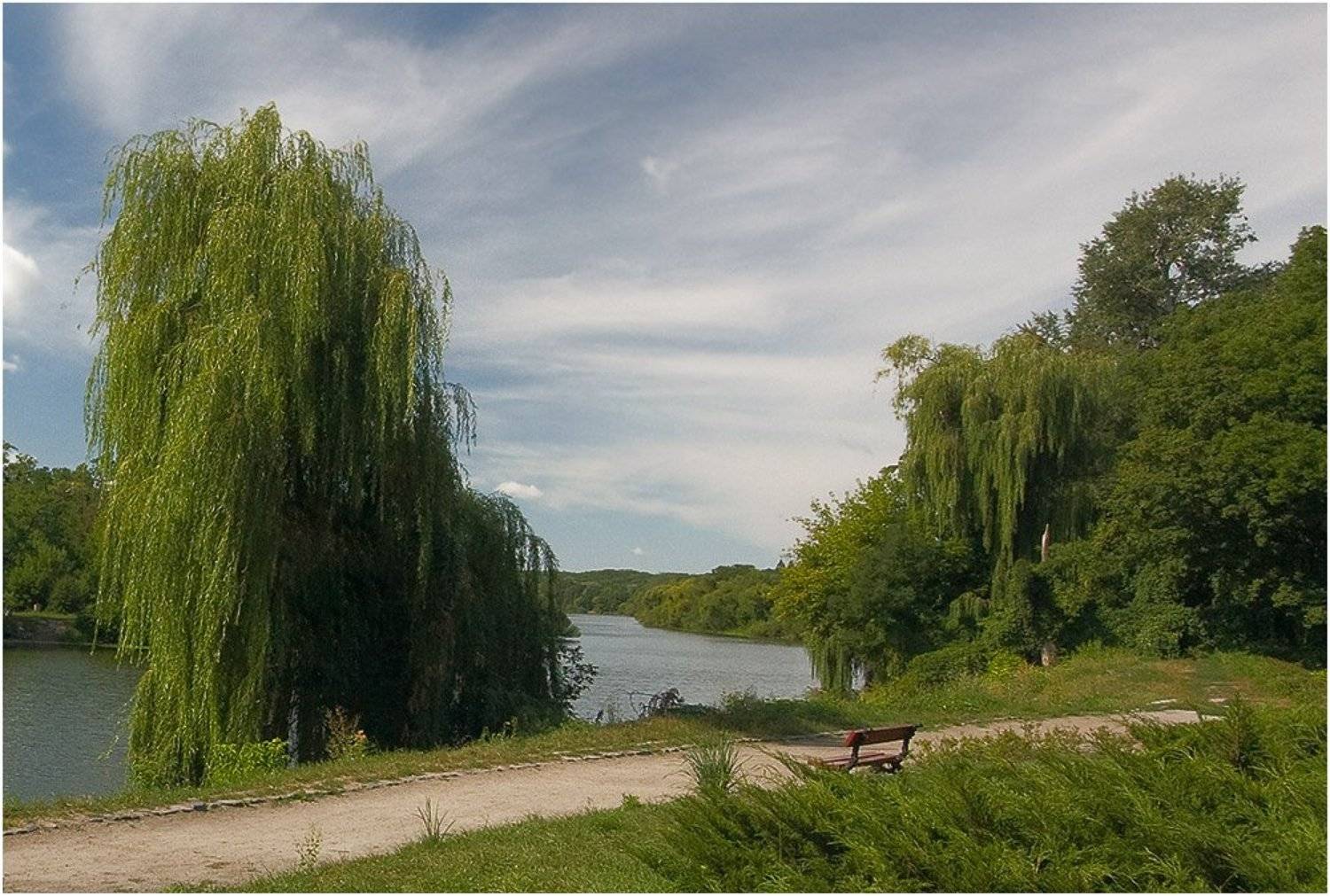 парк, пруд, ива, Игорь Шевченко