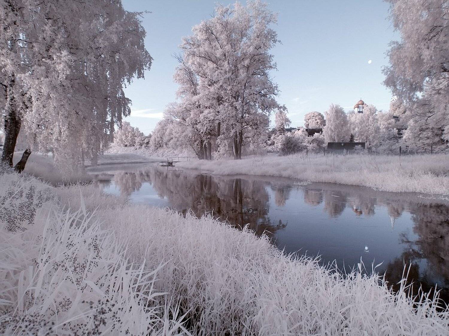 , Максим Евдокимов