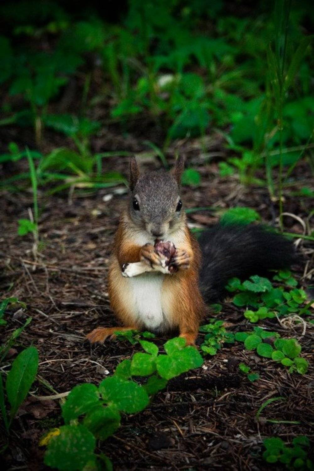 , Павел Лялин