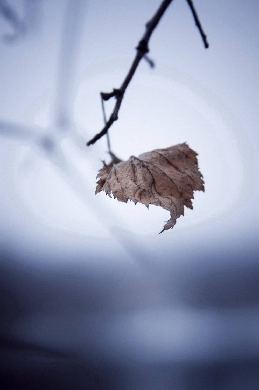 , Егор Кочуров