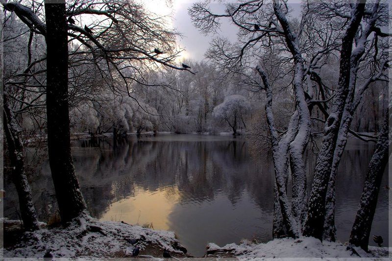 ****** фото превью