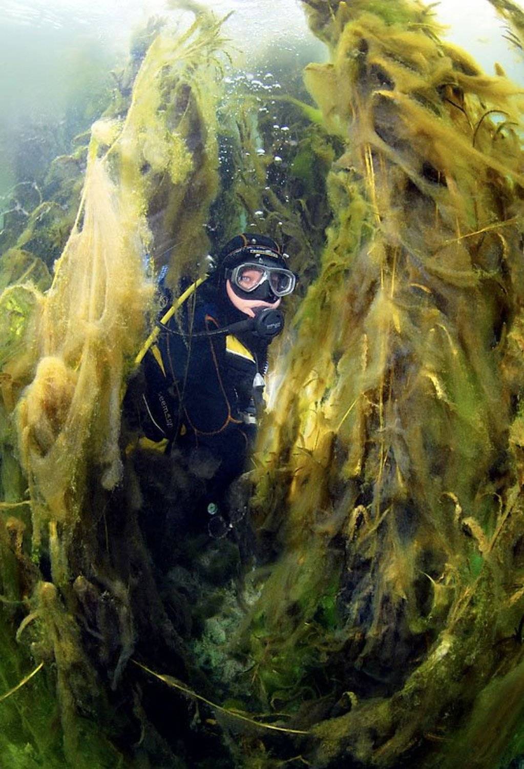 подводный, тина вад, Витя Лягушкин