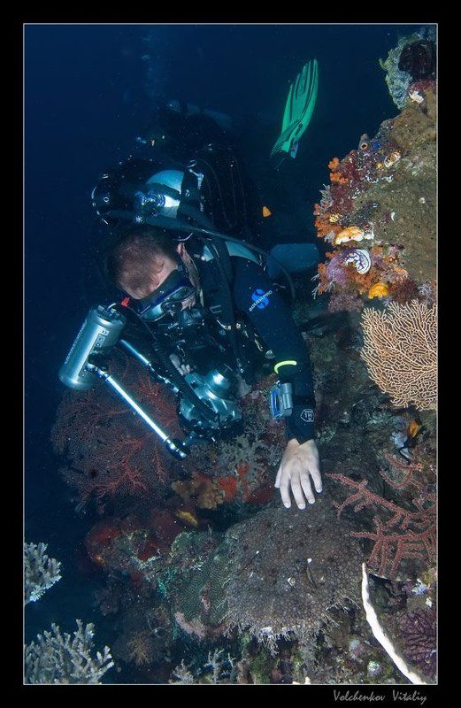 foto можно трогать фото превью