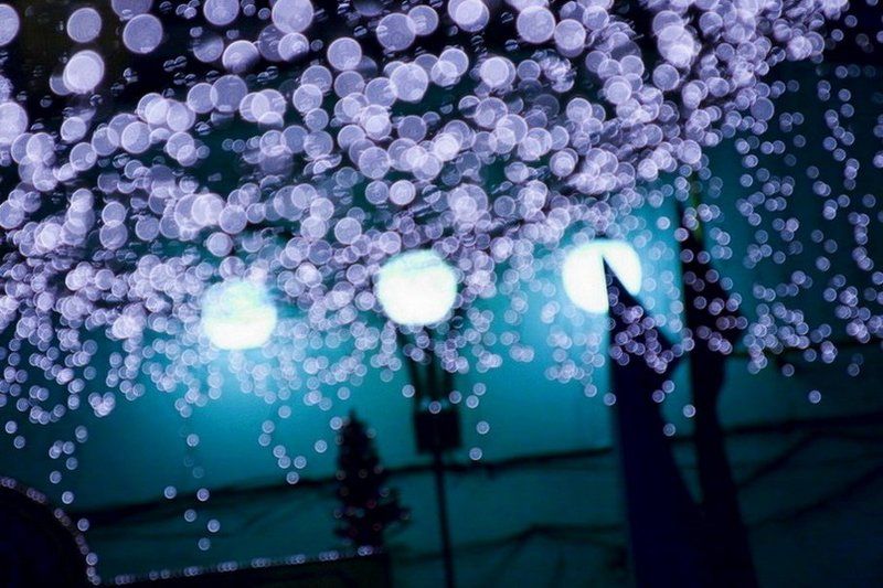 0o*0Oo.0* фото превью