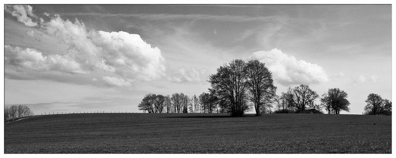 Тишина фото превью