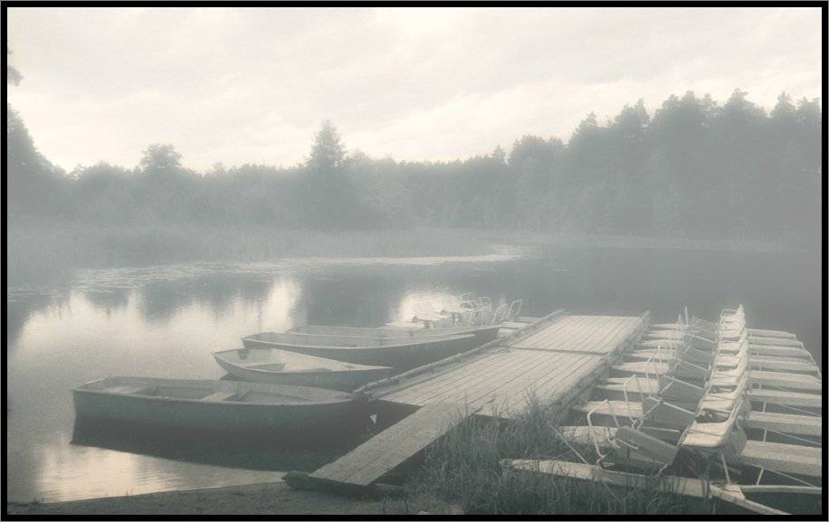 , Лунный Ежик