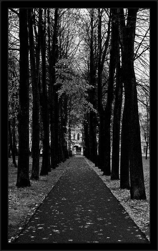 петербург, центр, лавра, чб, осень, Kirill Shapovalov