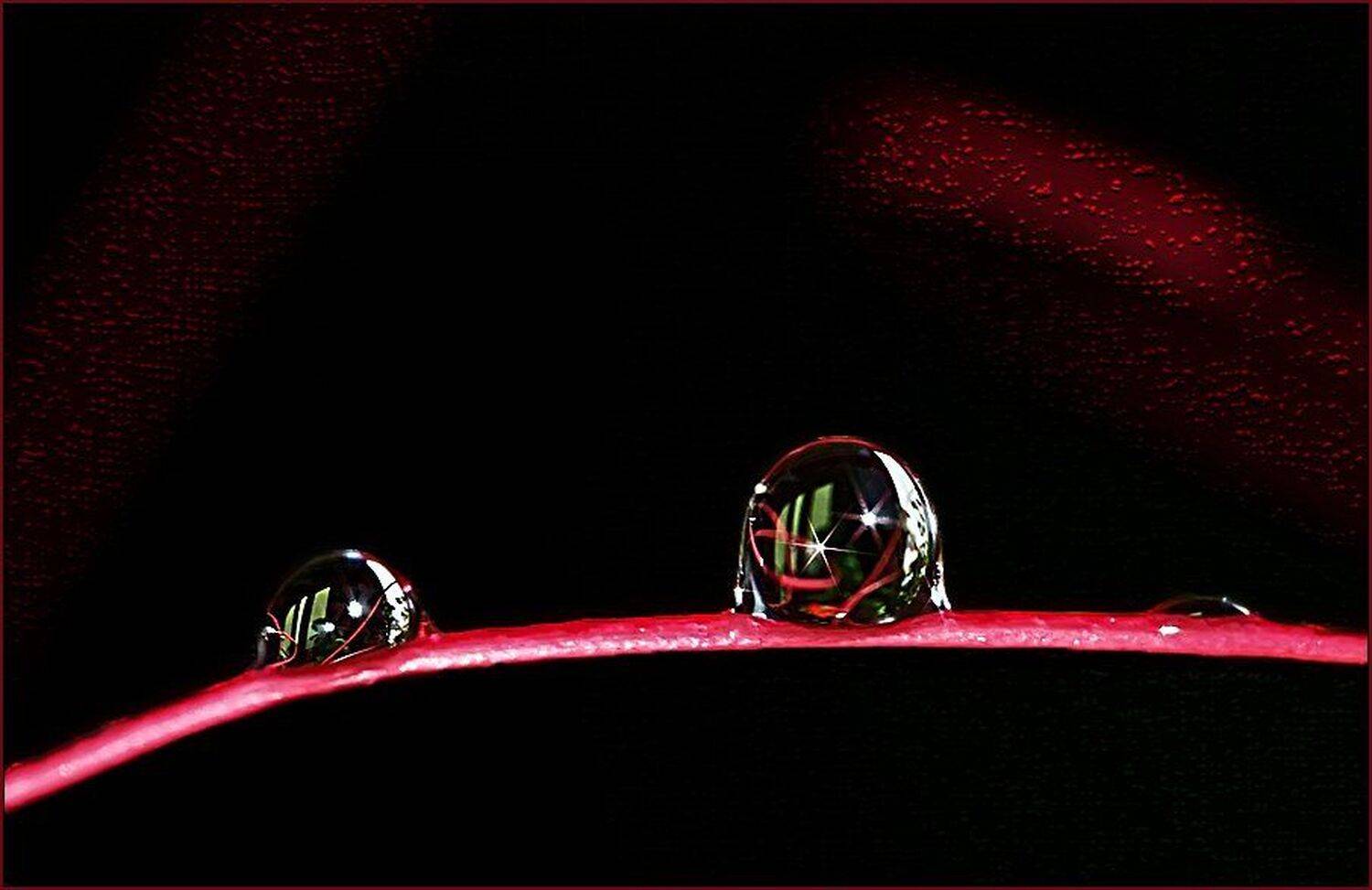 макро,капли, zhulevalena