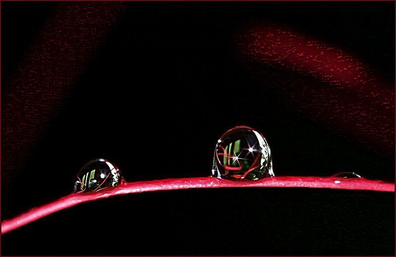 макро,капли Театральный диалог. фото превью