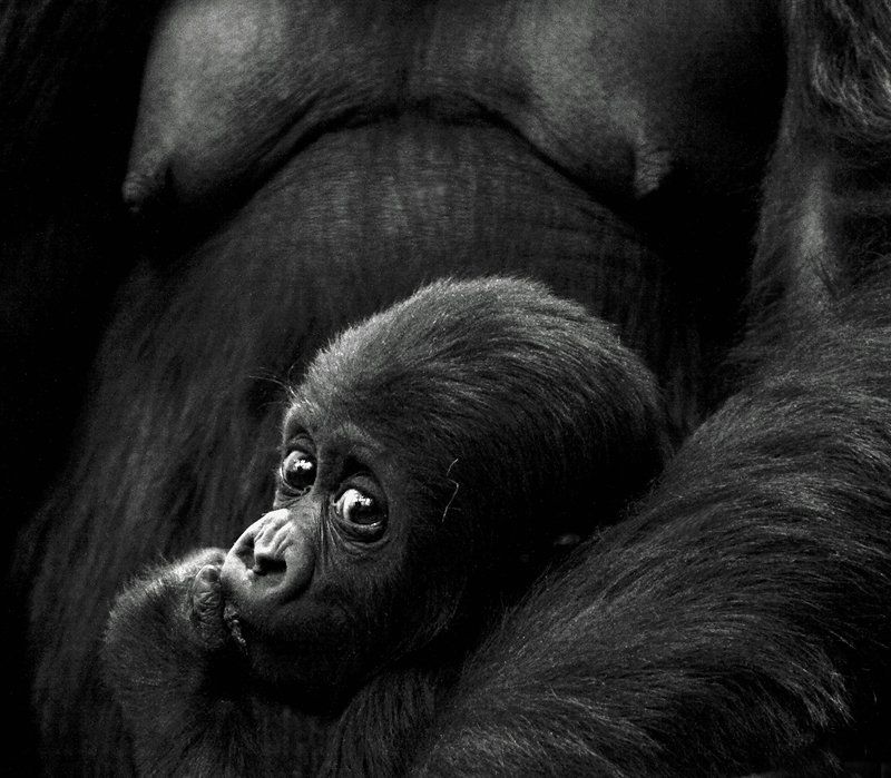 Про малыша фото превью