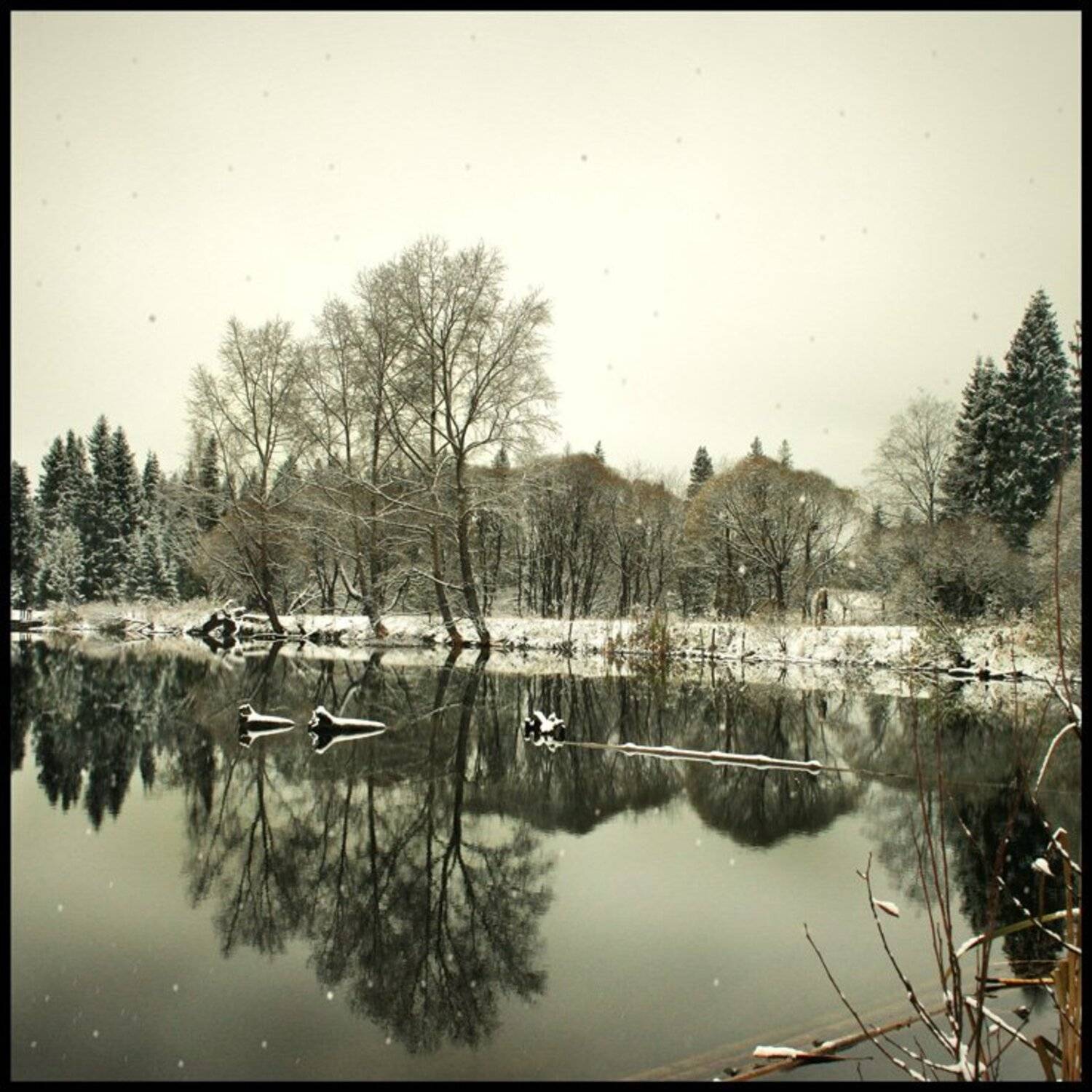 , Константин Стародубцев