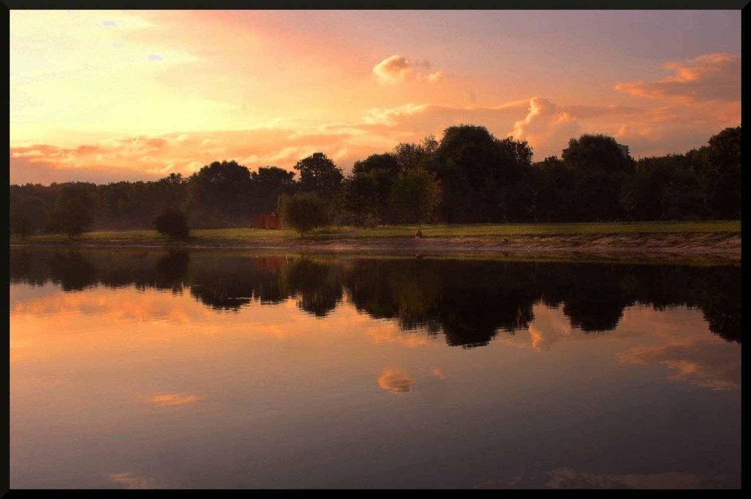 , &bull;**/ASSOL**&bull;