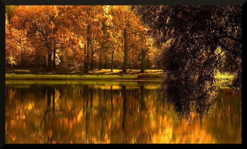 *** Романс про её осень *** фото превью