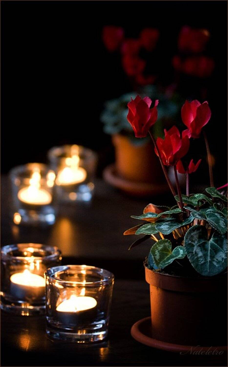 зеркало, отражение, свечи, цикламены, Nateletro
