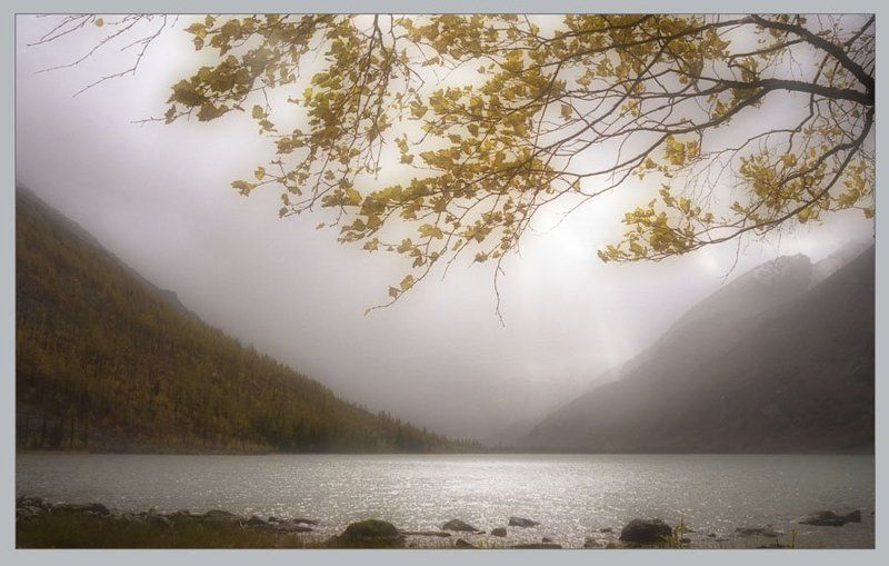 Предзимье фото превью