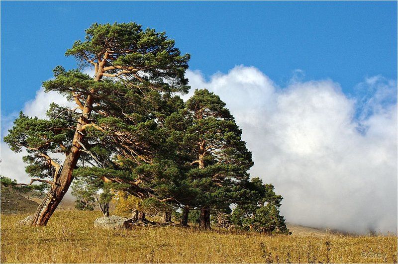 горы,облака,небо,осень На стыке Неба и Земли фото превью
