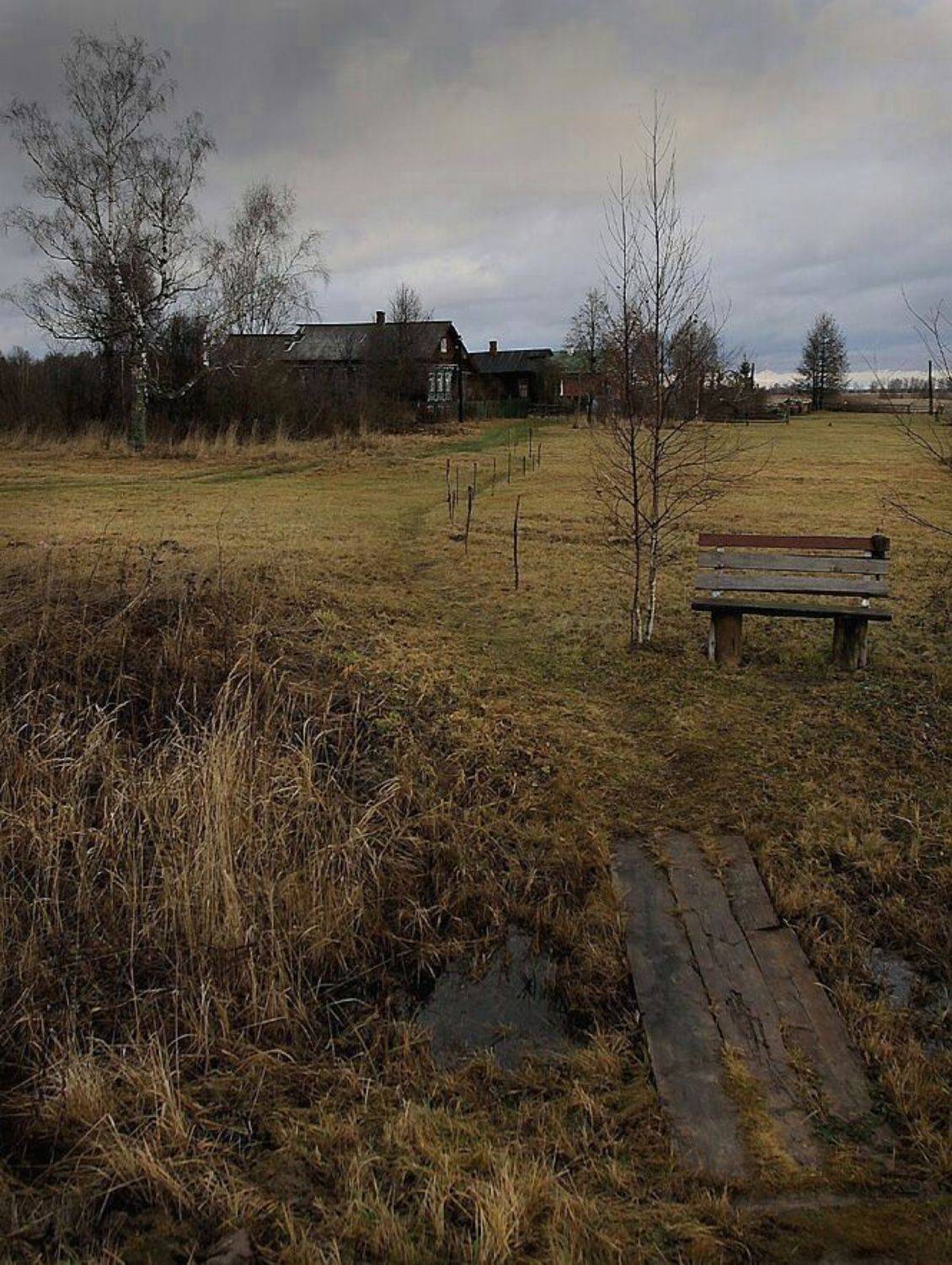 осень,деревня,автобусная остановка, Василий Черкасский