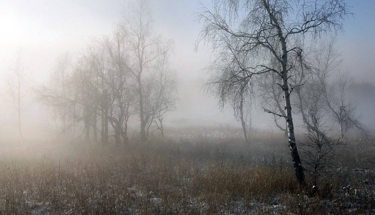 , Андрей  Золочевский