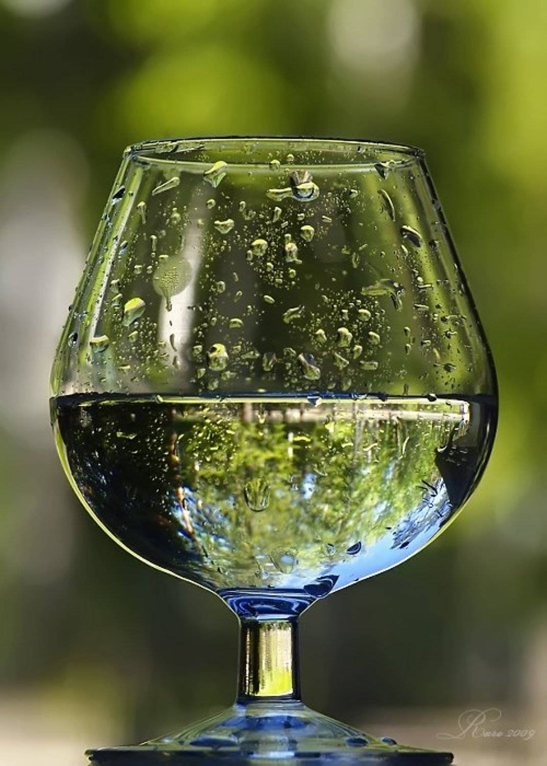 бокал., Раиса Rare