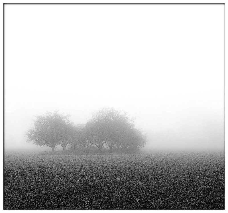 Вместе фото превью