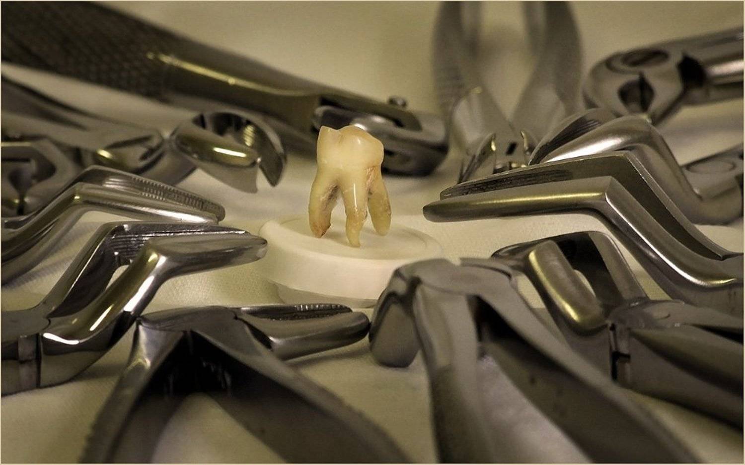 , Борис Пирог