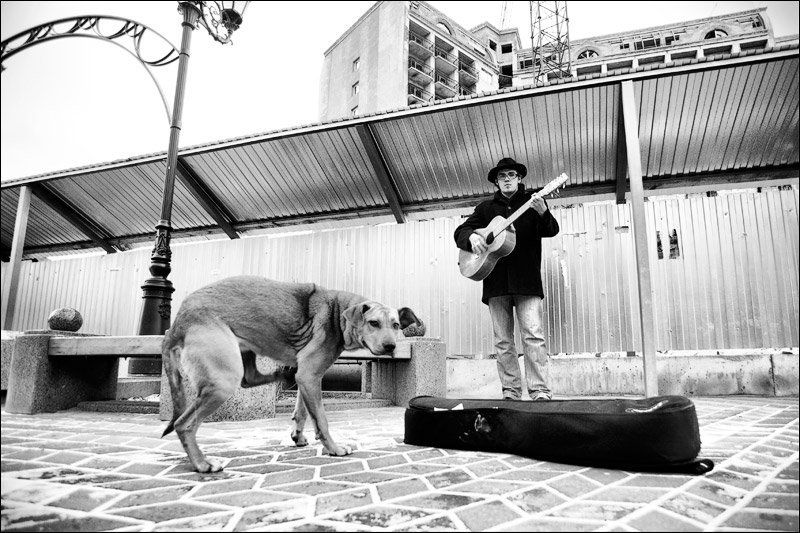 *** фото превью