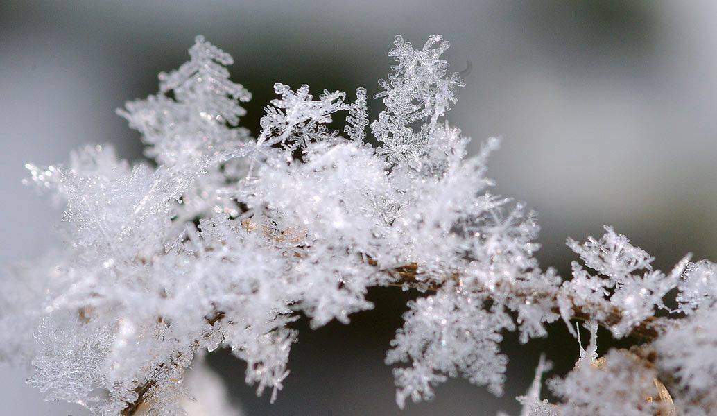 снежинка,макро,зима, Сергей Павлов