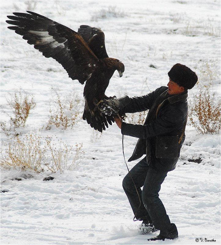 Тормози! фото превью