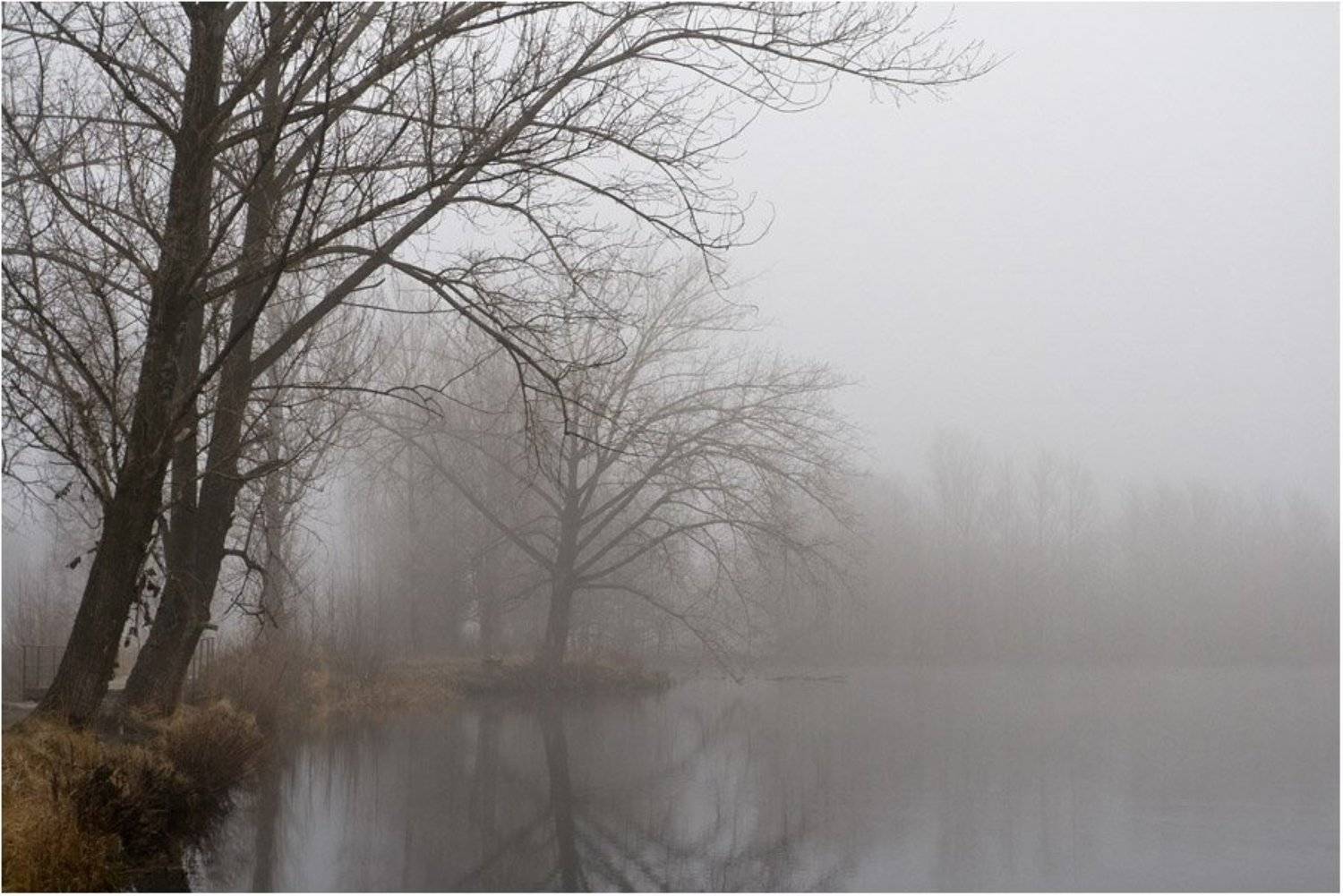 туман, Юрий Дёмин