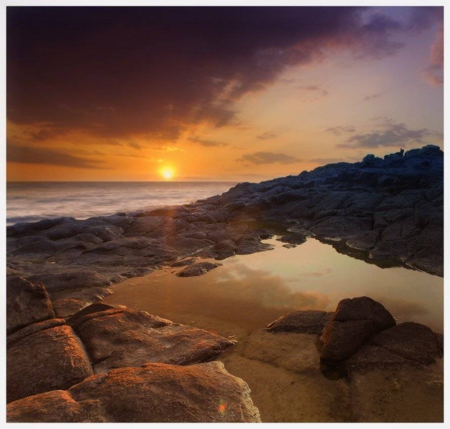 , Яна  Гайворонская