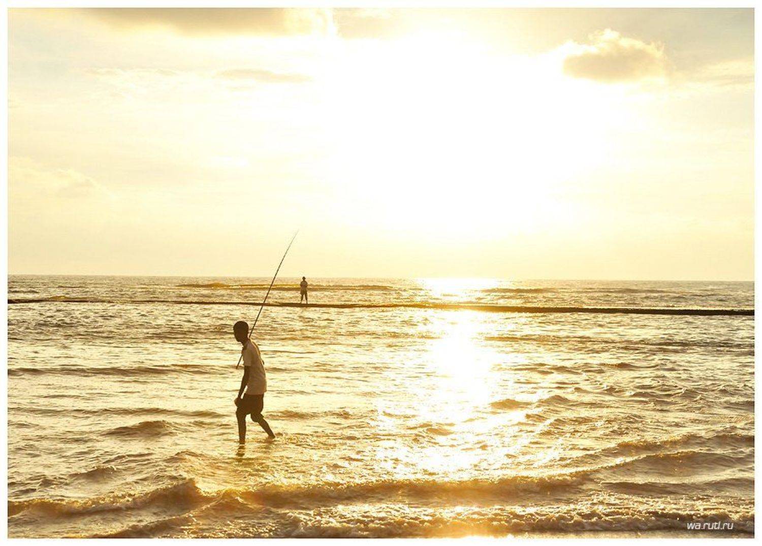 , Гордеев Алексей