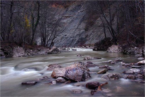 Мутные воды ноября