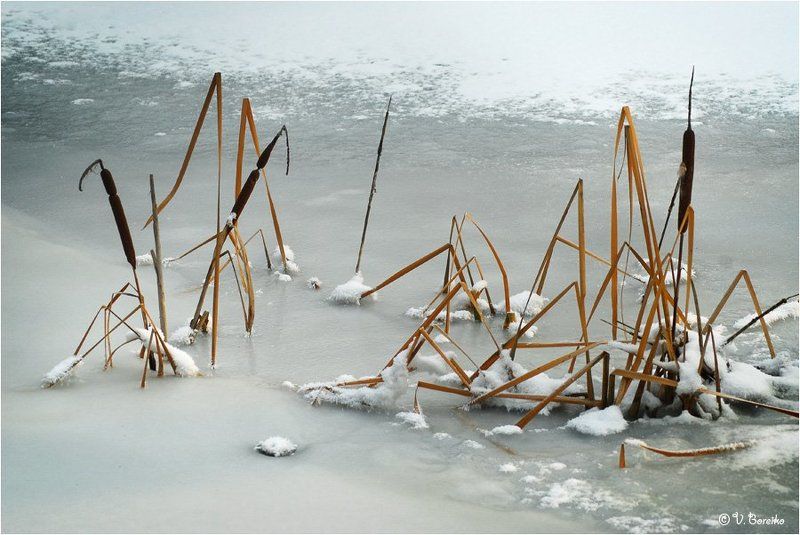 Танка фото превью