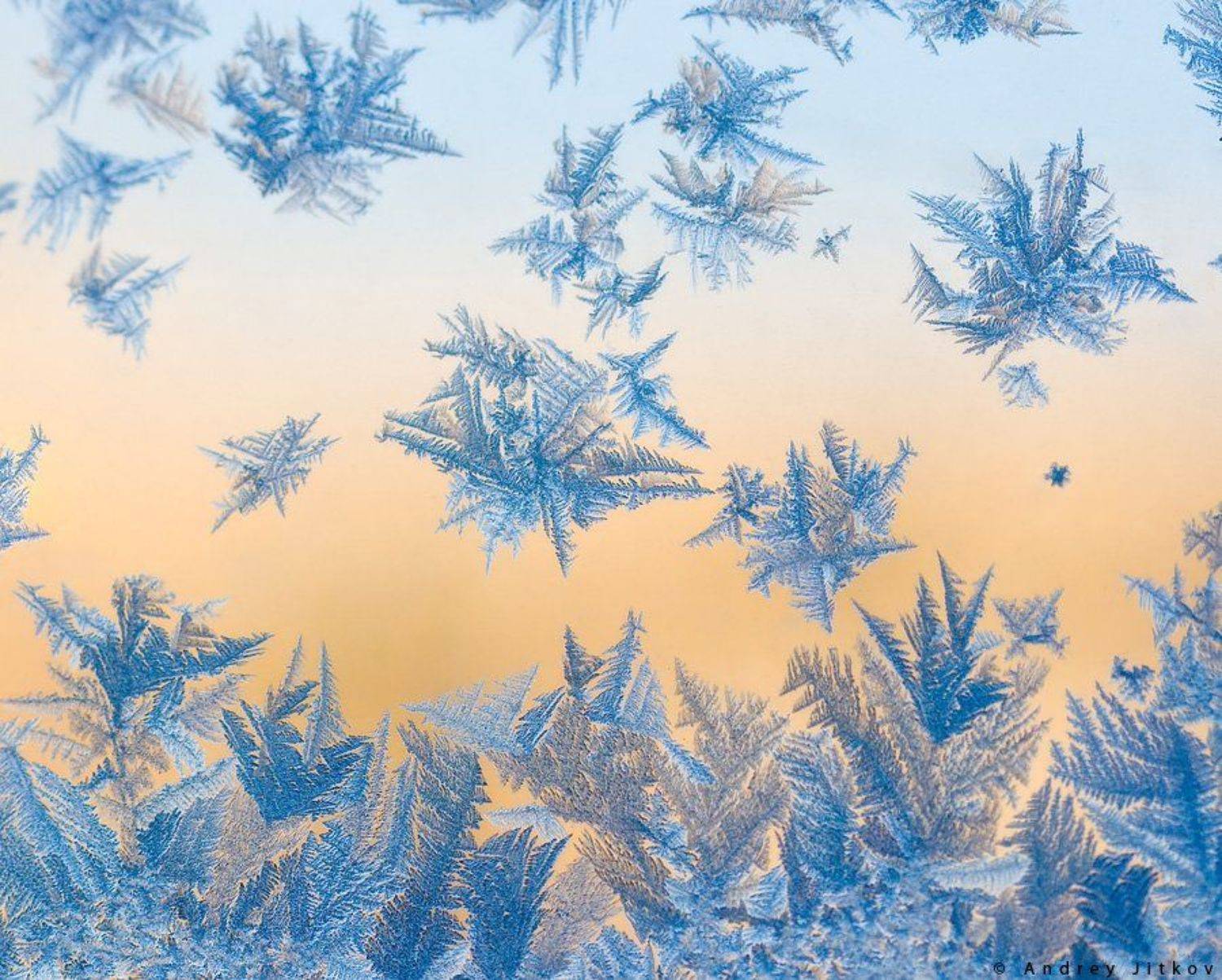 , Андрей Житков