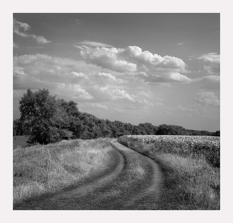 * * * фото превью