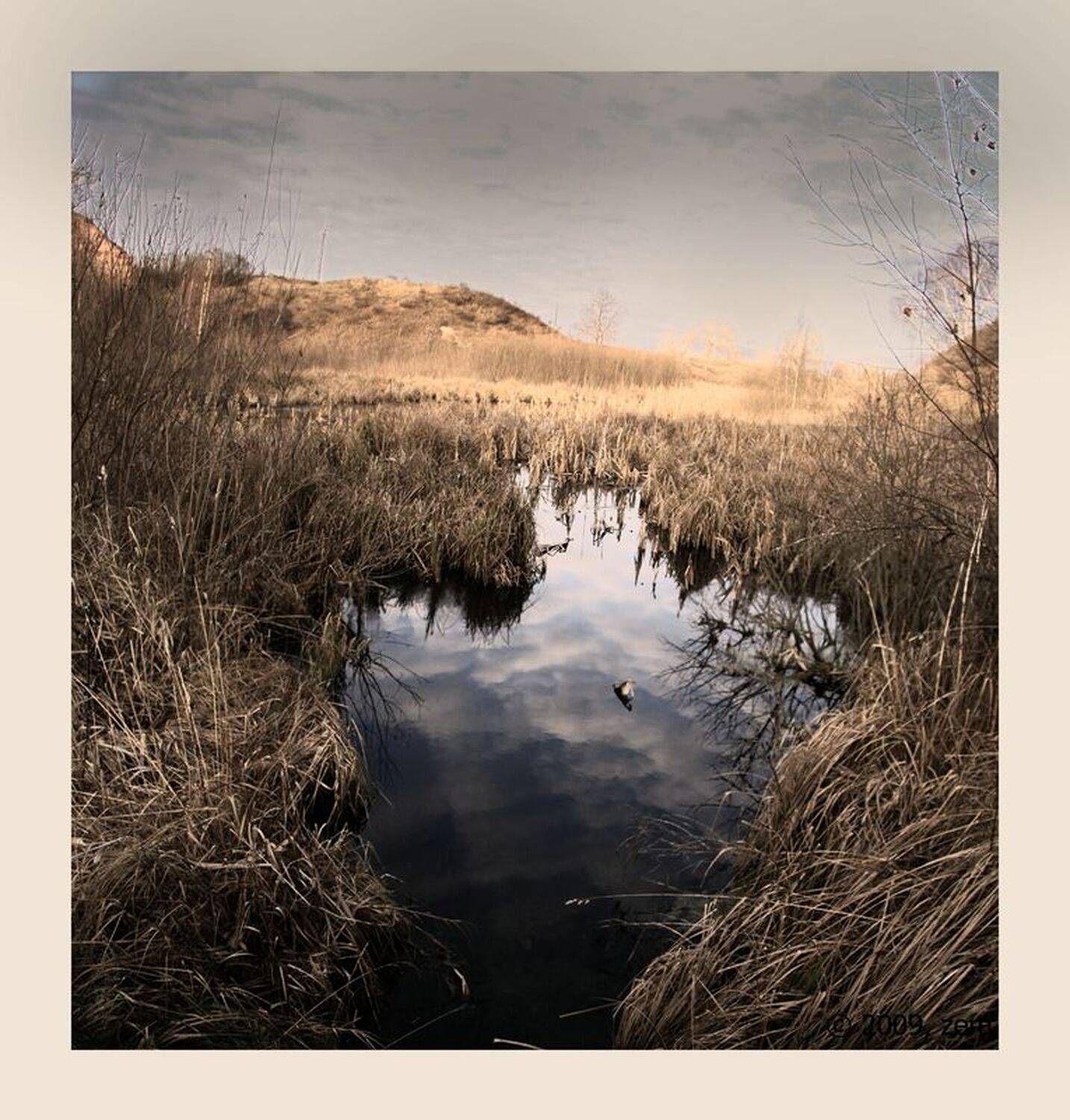 осень, панорама, латвия, даугавпилс, zemik