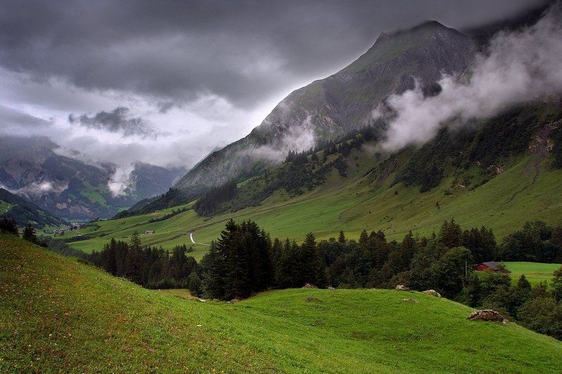 швейцария Альпийские луга фото превью