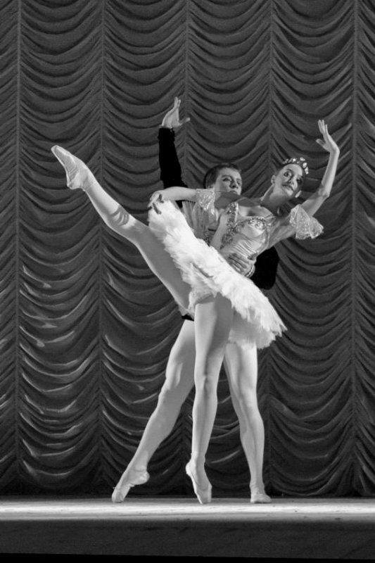 балет Линии балета фото превью